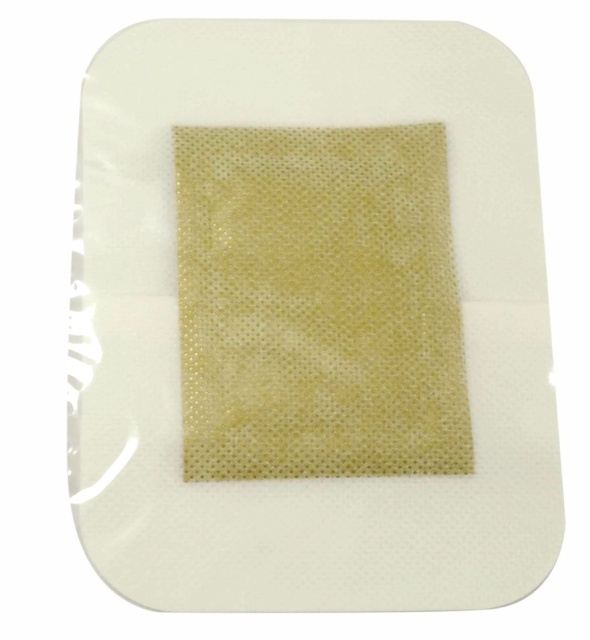 Plasturi detoxifianti cu ghimbir Augama 10 buc/cutie